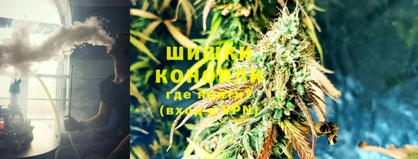 mdpv Богданович