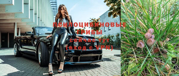mdpv Богданович