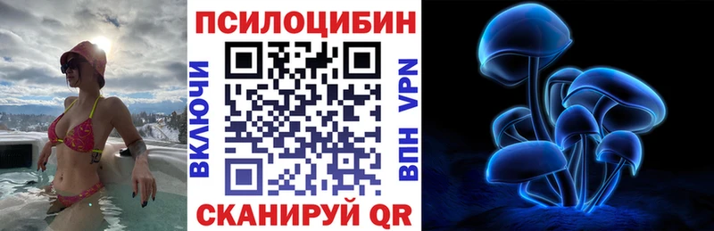 Галлюциногенные грибы Psilocybine cubensis Томари